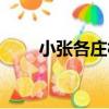 小張各莊村（關于小張各莊村簡介）