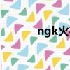 ngk火花塞官網（ngk火花塞）
