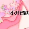 小開智能鎖（關于小開智能鎖簡介）