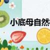 小底母自然村（關于小底母自然村簡介）