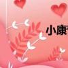 小康營（關于小康營簡介）