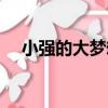 小強的大夢想（關于小強的大夢想簡介）