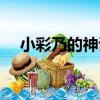 小彩乃的神諭（關于小彩乃的神諭簡介）