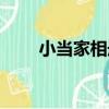 小當家相冊（關于小當家相冊簡介）