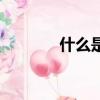 什么是整數集（什么是整數）