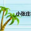 小張莊村（關于小張莊村簡介）