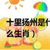 十里揚州是什么生肖百度知道（十里揚州是什么生肖）