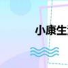小康生活（關于小康生活簡介）