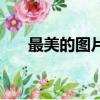 最美的圖片（關于最美的圖片的簡介）