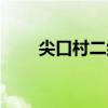 尖口村二組（關于尖口村二組簡介）