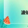 波依定說明書（依波定）