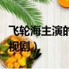 飛輪海主演的電視劇叫什么（飛輪海主演的電視劇）