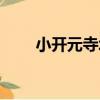 小開元寺塔（關于小開元寺塔簡介）
