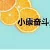 小康奮斗史（關于小康奮斗史簡介）