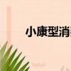 小康型消費（關于小康型消費簡介）