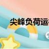 尖峰負荷運行（關于尖峰負荷運行簡介）