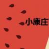 小康莊屯（關于小康莊屯簡介）