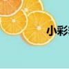小彩舞（關于小彩舞簡介）