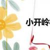 小開嶺村（關于小開嶺村簡介）