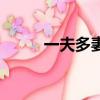 一夫多妻（關于一夫多妻的簡介）
