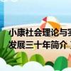 小康社會理論與實踐發展三十年（關于小康社會理論與實踐發展三十年簡介）