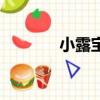 小露寶（關于小露寶的簡介）