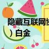 隱藏互聯網協議（Internet Protocol的縮寫）白金