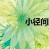 小徑間隙（關于小徑間隙簡介）