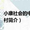 小康社會的中國農村（關于小康社會的中國農村簡介）