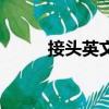 接頭英文（關于接頭英文的簡介）