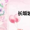 長坂坡（關于長坂坡的簡介）
