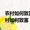 農村如何致富農村該如何致富1.3萬閱讀（農村如何致富）