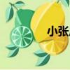 小張莊（關于小張莊簡介）