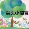 尖頭小吻盲蟲（關于尖頭小吻盲蟲簡介）
