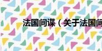 法國間諜(關于法國間諜的簡介)