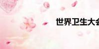 世界衛生大會