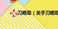 刀疤哥(關于刀疤哥的簡介)