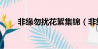 非緣勿擾花絮集錦(非緣勿擾花絮)