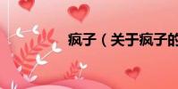 瘋子(關于瘋子的簡介)