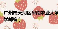 廣州市天河區華南農業大學郵編(華南農業大學郵編)