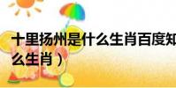 十里揚州是什么生肖百度知道(十里揚州是什么生肖)