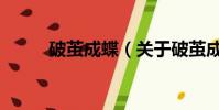 破繭成蝶(關于破繭成蝶的簡介)