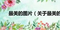 最美的圖片(關于最美的圖片的簡介)