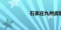 石家莊九州皮膚病
