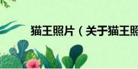 貓王照片(關于貓王照片的簡介)