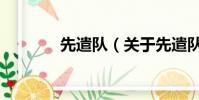 先遣隊(關于先遣隊的簡介)
