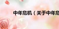 中年危機(關于中年危機的簡介)