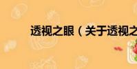 透視之眼(關于透視之眼的簡介)