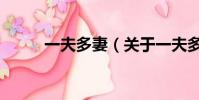 一夫多妻(關于一夫多妻的簡介)