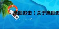 鷹眼追擊(關于鷹眼追擊的簡介)